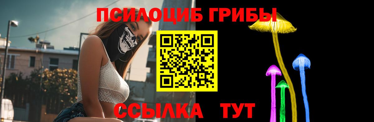Муром  Псилоцибиновые грибы Cubensis  Вход с VPN  Галлюциногенные грибы ЛСД 